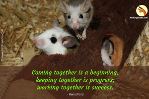 Coming together is a beginning; keeping together is progress; working together is success.