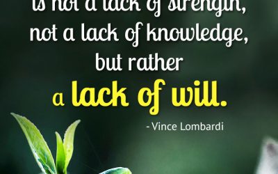 “The difference between a successful person and others is not a lack of strength, not a lack of knowledge, but rather a lack of will.”