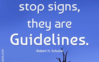 “PROBLEMS are not stop signs, they are Guidelines.”