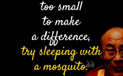 “If you think you are too small to make a difference, try sleeping with a mosquito.”