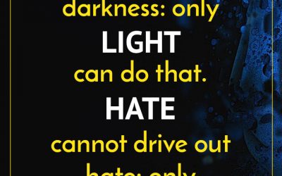 “DARKNESS cannot drive out darkness: only LIGHT can do that. HATE cannot drive out hate: only LOVE can do that.”